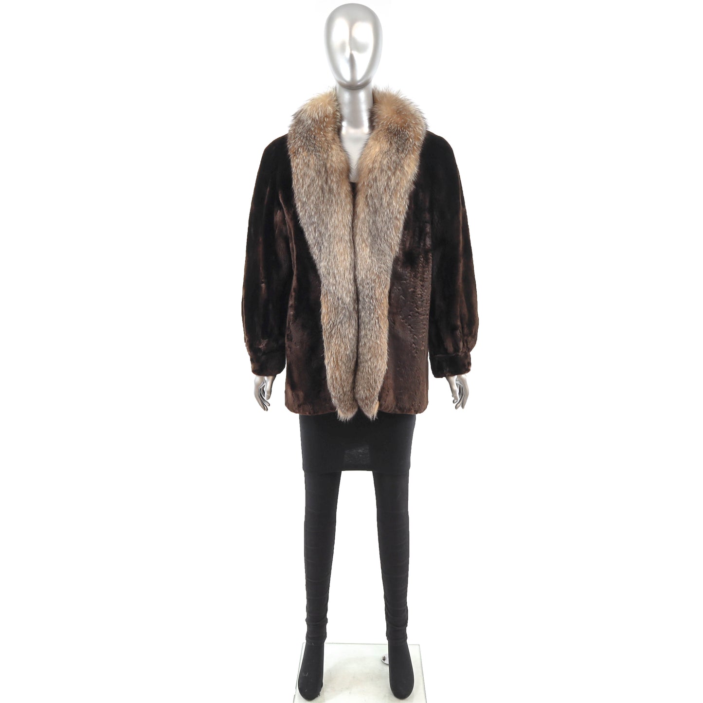 Sheared Beaver Jacket with Fox Tuxedo- Size M