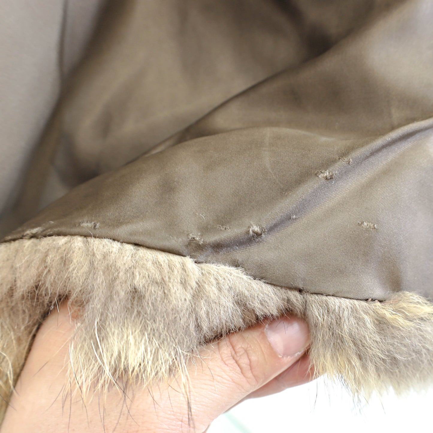 Coyote Coat- Size M