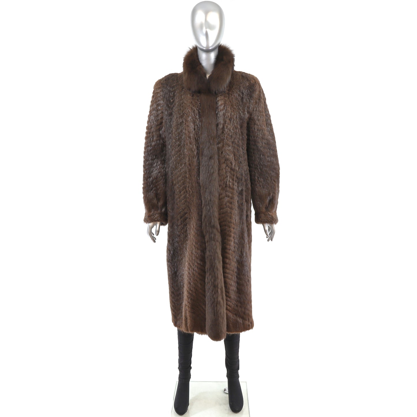 Nutria Coat with Fox Tuxedo- Size M