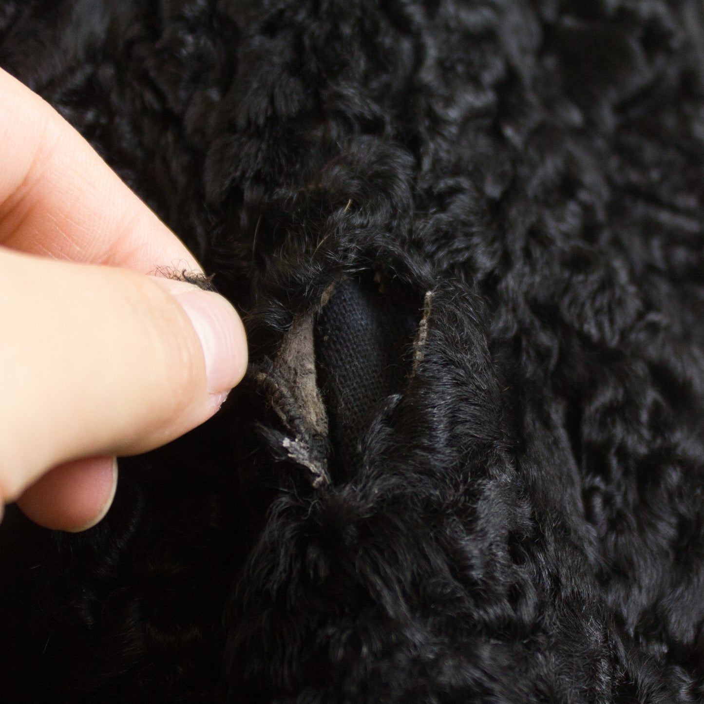 Black Persian Lamb Jacket - Size M-L (Vintage Furs)