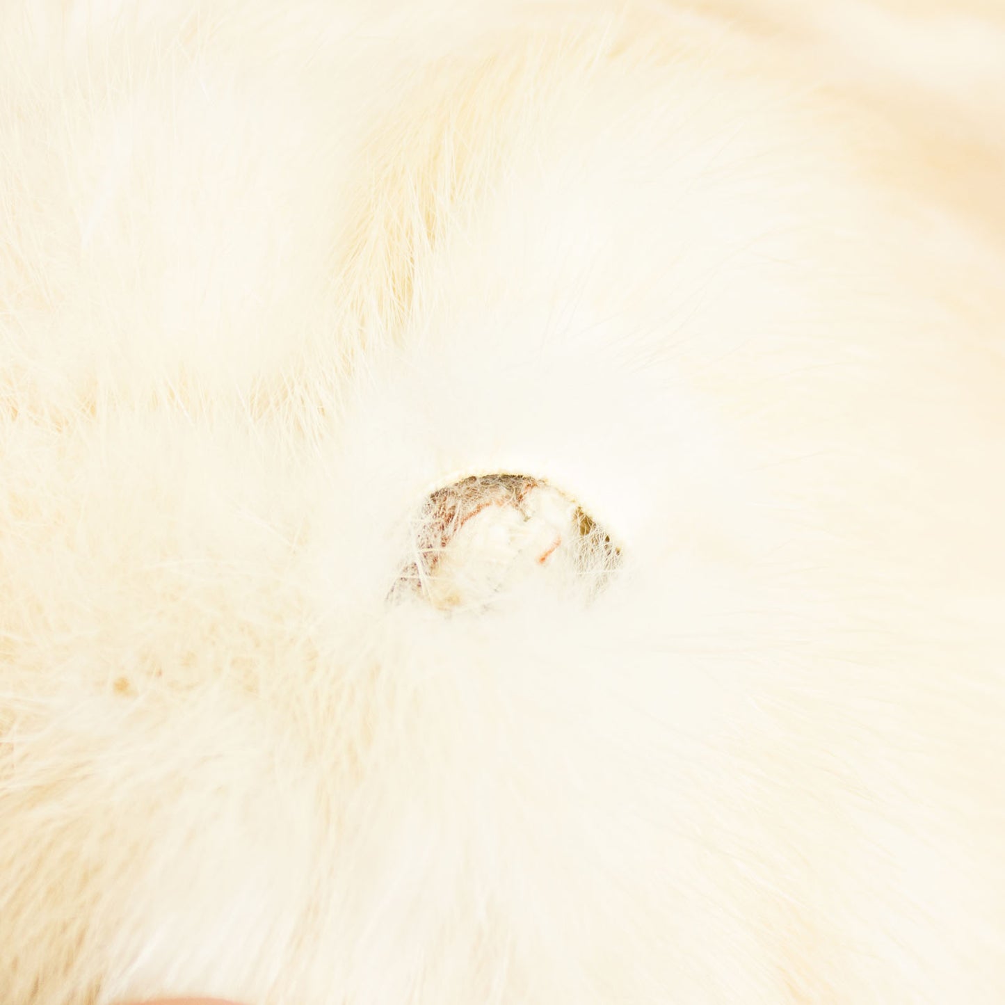 Pastel Mink Stole - Free Size (Vintage Furs)