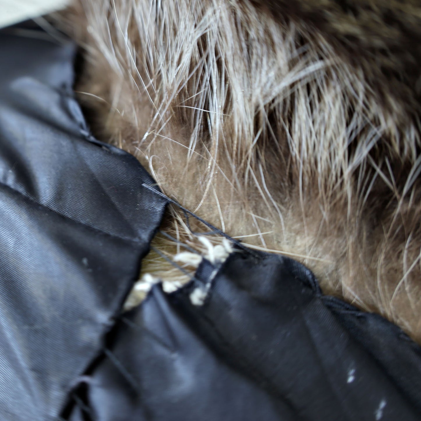 Raccoon Coat- Size S